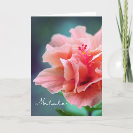 マハロサンキューハワイアンピンクハイビスカスクローズアップ カード (正面)