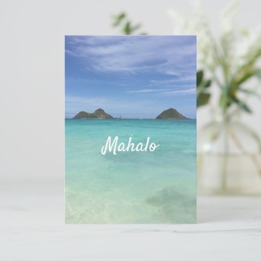 マハロ サンキューカード (スタンド正面)