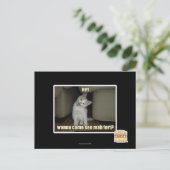 マハ来ーフォートを見るか？ ポストカード (スタンド正面)