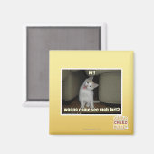 マハ来ーフォートを見るか? マグネット (正面/裏面)