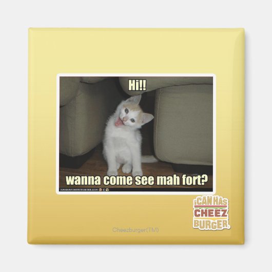 マハ来ーフォートを見るか? マグネット (正面)