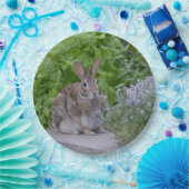 マバニー ペーパープレート (パーティー)