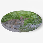 マバニー ペーパープレート (アングル)