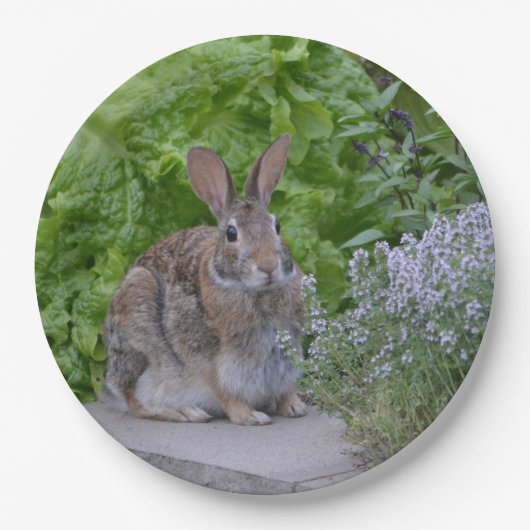 マバニー ペーパープレート (正面)