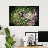 マバードズ保護エッグ撮影プリント ポスター (ホームオフィス)