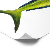 マヒマヒのポスター ポスター (角)