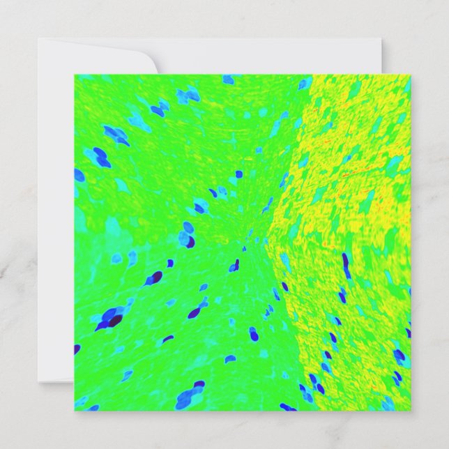 マヒマヒドルフィンフィッシュアートカラー (正面)