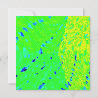 マヒマヒドルフィンフィッシュアートカラー