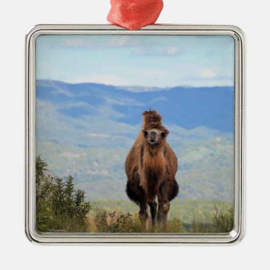 マフィンセラミックオーナメントで歩く メタルオーナメント (正面)