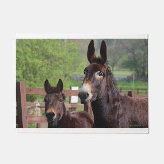 マフィン及びココヤシのドア・マット ドアマット