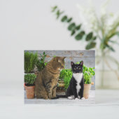 「マフィン&ケルズ」ポストカード ポストカード (スタンド正面)