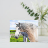 「マフィン&サラバンド」 ポストカード (スタンド正面)