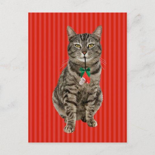 "マフィンDigsクリスマス"ホリデーポストカード ポストカード (正面)