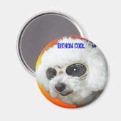 マフェットゴーグル、ビシホンクール マグネット (正面/裏面)