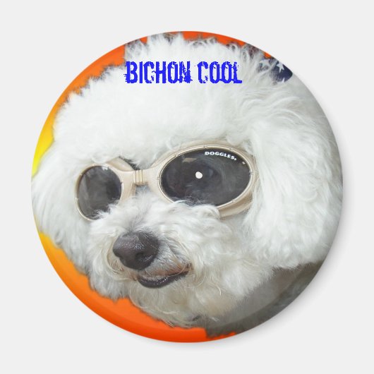 マフェットゴーグル、ビシホンクール マグネット (正面)