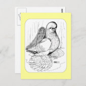 マフックタンブラーサドル1978 ポストカード (正面/裏面)