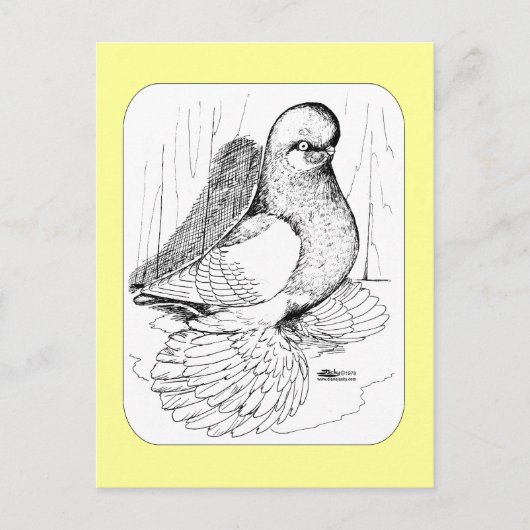 マフックタンブラーサドル1978 ポストカード (正面)