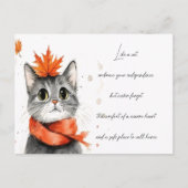 マフラーでコージーな猫 ポストカード (正面)