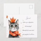 マフラーに包まれたのんびり猫 ポストカード (正面/裏面)