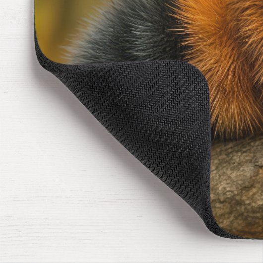 マフラーを着た秋のウールのクマの毛虫 マウスパッド (コーナー)