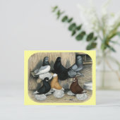 マフラー・タンブラー・ハト ポストカード (スタンド正面)