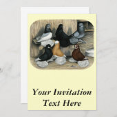 マフラー・タンブラー・ハト 招待状 (正面/裏面)