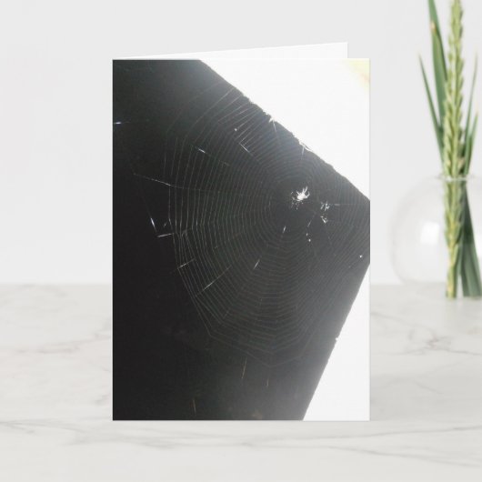 「マプルウッドスパイダー」ハローエンカード カード (正面)