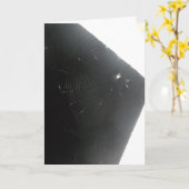 「マプルウッドスパイダー」ハローエンカード カード (黄色い花)