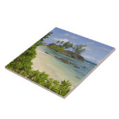 マヘ島沿岸景観 タイル (側面)