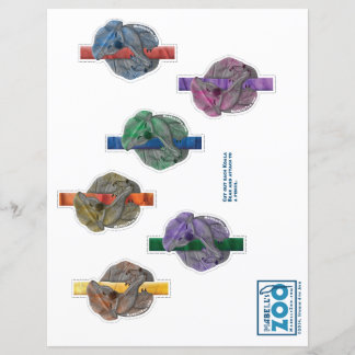 マベルズズツォーコアラベア切り出し