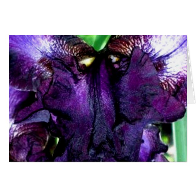 マペット顔 (正面横)