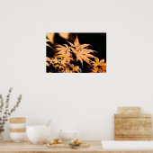 マポ日本のル6 -花の写真 ポスター (キッチン)