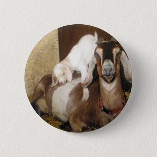 ママおよびベビーのヤギ 缶バッジ (正面)