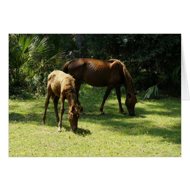 ママおよびベビー (正面横)