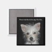 ママこの犬磁石みたいな日があるって マグネット (正面/裏面)