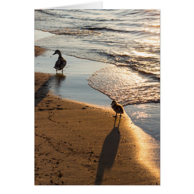 ママとサンセットウォーク (正面)