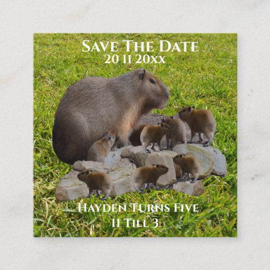 ママとベビーのキャピバラはデートを守れ エンクロージャーカード (正面)