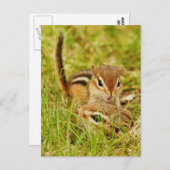 ママとベビーチムンク ポストカード (正面/裏面)