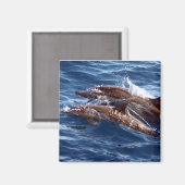 ママとベビードルフィンマグネット マグネット (正面/裏面)