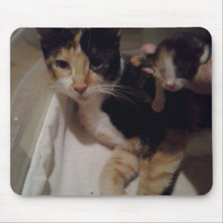 ママとベビーマウスパッド マウスパッド