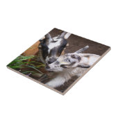 ママとベビーヤギ タイル (側面)