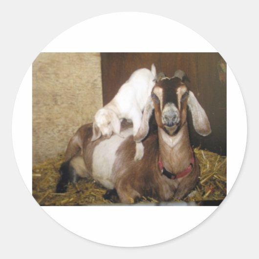 ママとベビーヤギ ラウンドシール (正面)
