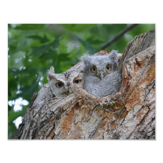 ママとベビー フォトプリント            (正面)