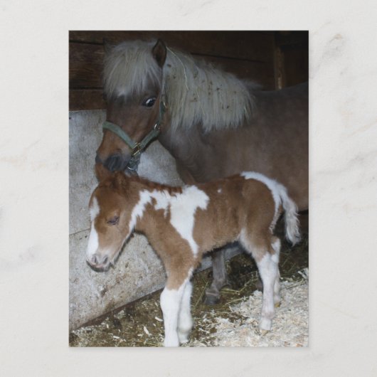 ママとベビー ポストカード (正面)