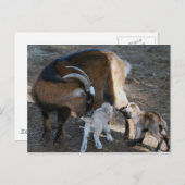 ママとベビー ポストカード (正面/裏面)