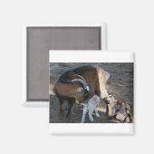 ママとベビー マグネット (正面/裏面)