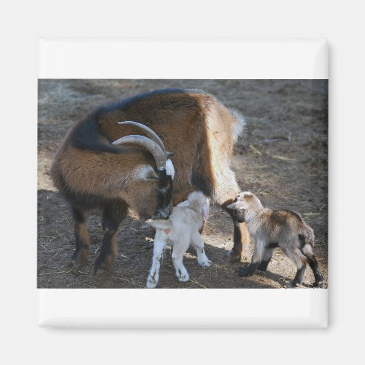 ママとベビー マグネット (正面)