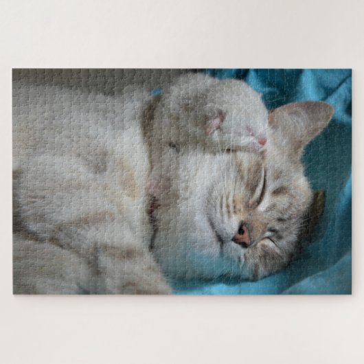 ママと子猫のパズル ジグソーパズル (横)