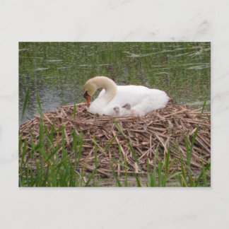 ママと小さなハガキ(2) ポストカード