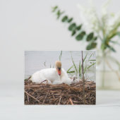 ママと私(2)はがき ポストカード (スタンド正面)